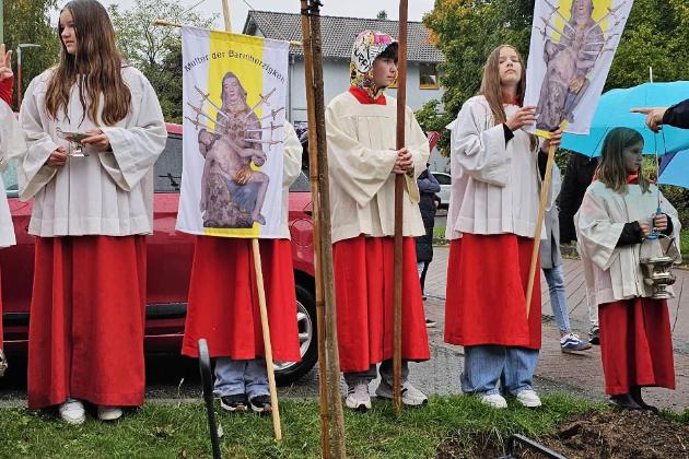 Baumpflanz-Challenge 2025