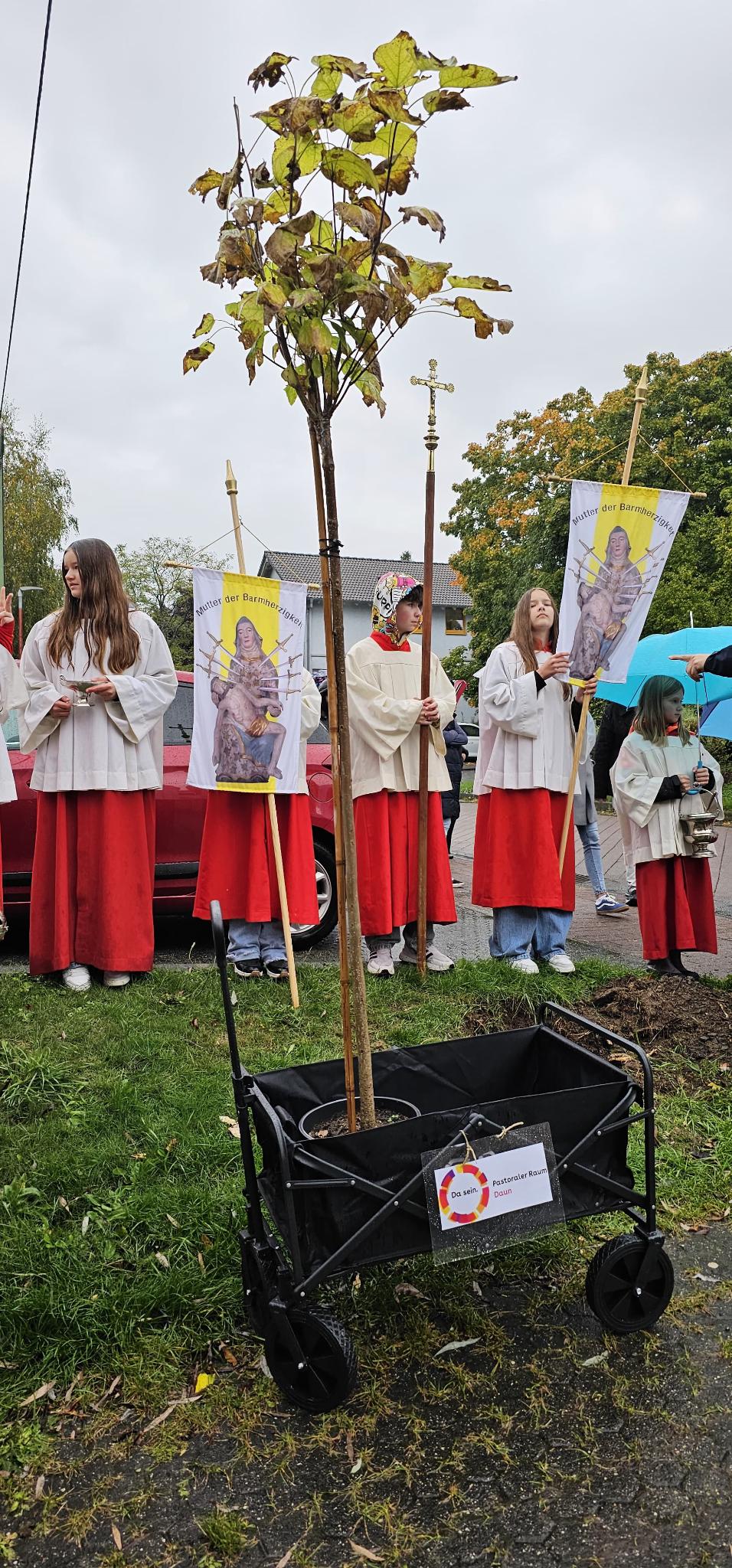 Baumpflanz-Challenge 2025